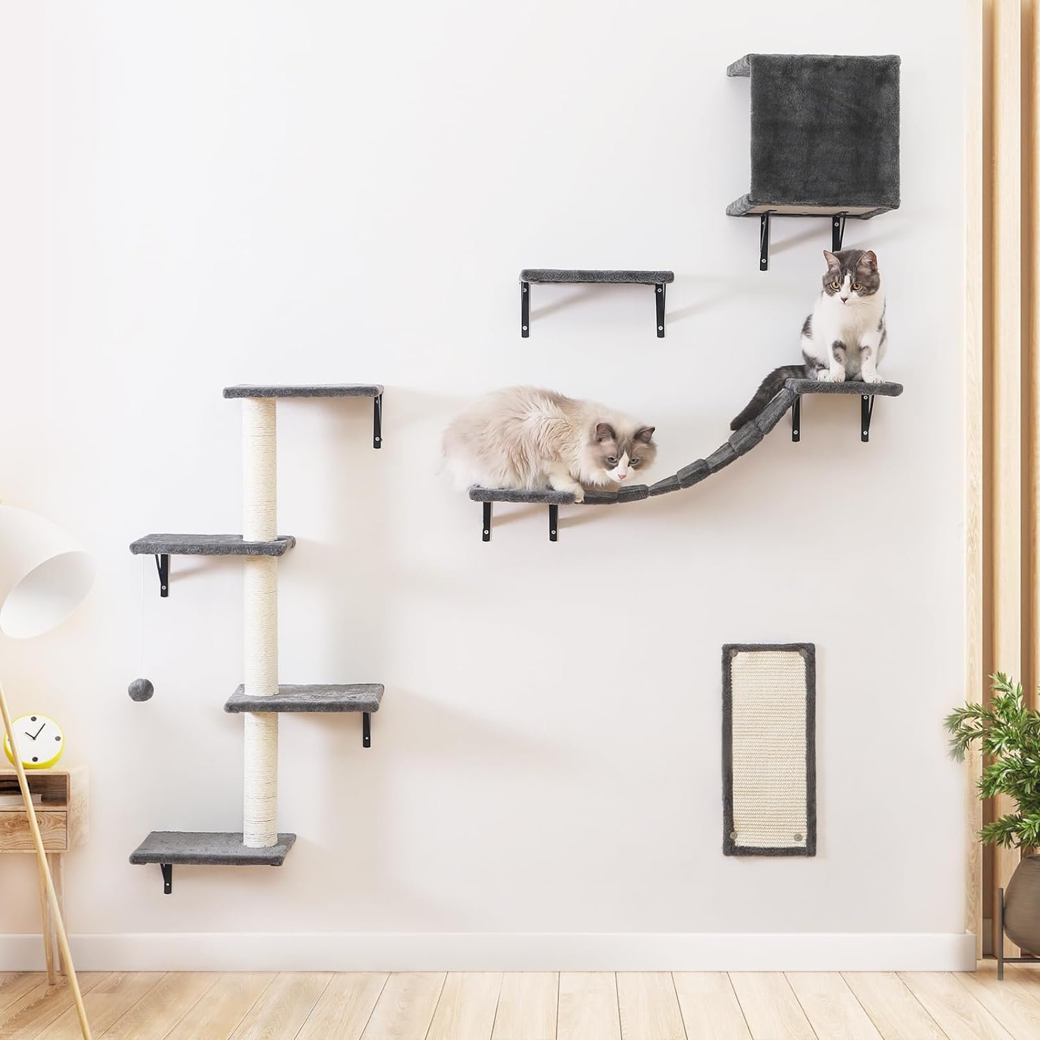 Top Kletterwand Katzen Set