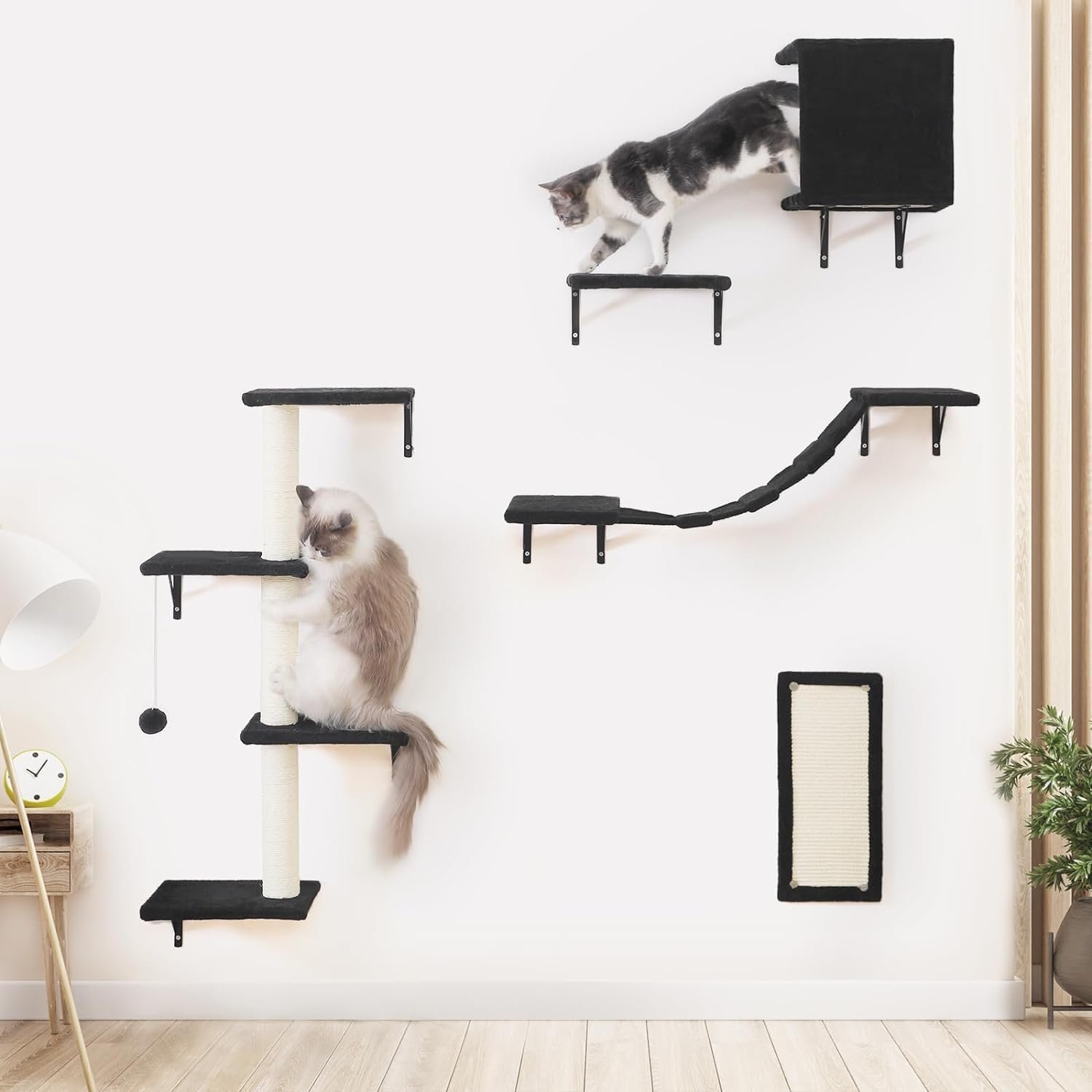 Top Kletterwand Katzen Set