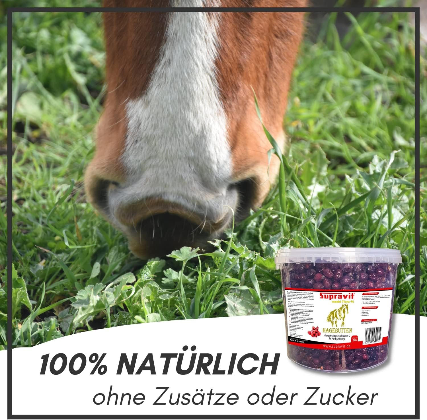 SUPRAVIT Rosehip Horse | With Lots of Vitamin C for Horses and Ponies | 2 kg Bucket I Whole Dried Fruits - Natural Horse Treats without Sugar | First Class Quality