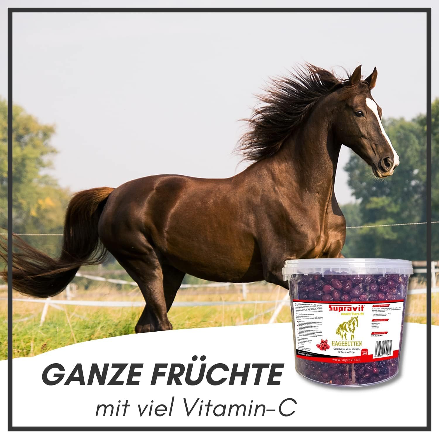 SUPRAVIT Rosehip Horse | With Lots of Vitamin C for Horses and Ponies | 2 kg Bucket I Whole Dried Fruits - Natural Horse Treats without Sugar | First Class Quality