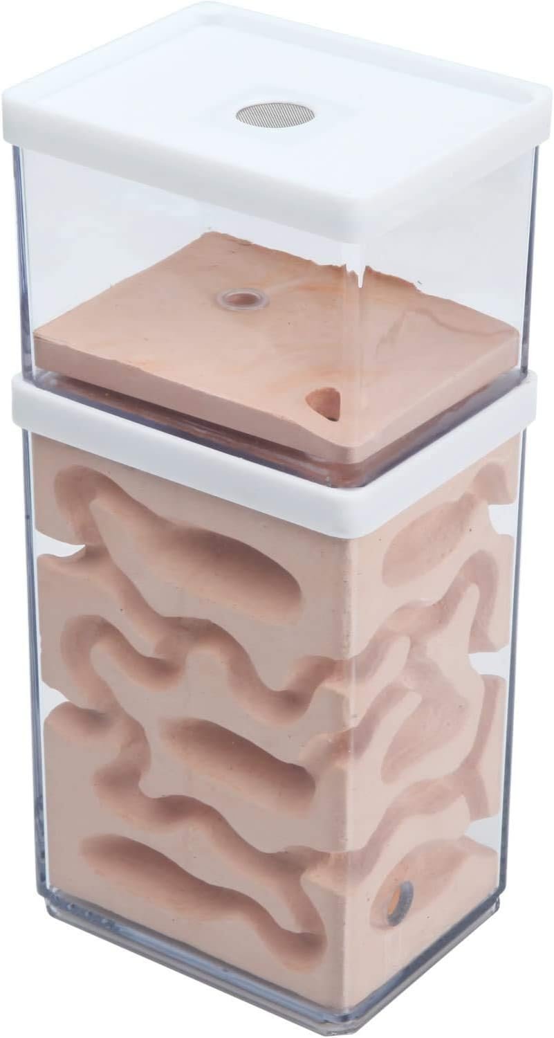 aleawol Natural Ant Farm Ant Nest Formicarium Made of Plaster Transparent Ant House Ant Breeding Box Ants Terrarium Ant House Ant Farm Ant Nest Habitat