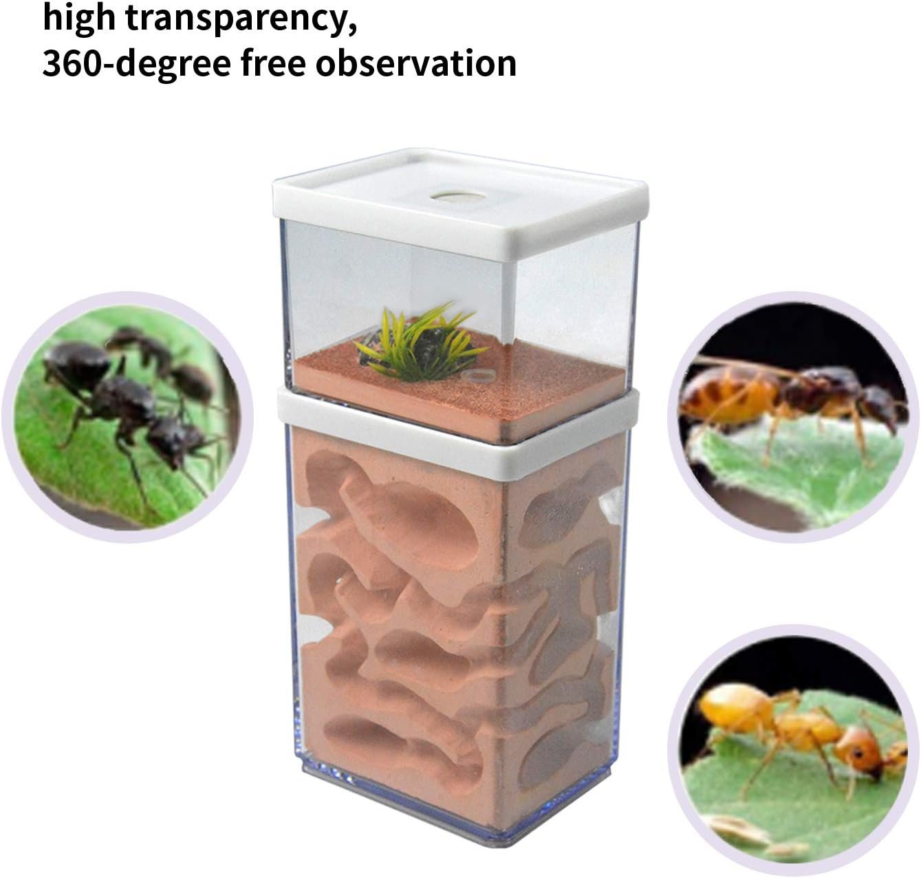 aleawol Natural Ant Farm Ant Nest Formicarium Made of Plaster Transparent Ant House Ant Breeding Box Ants Terrarium Ant House Ant Farm Ant Nest Habitat