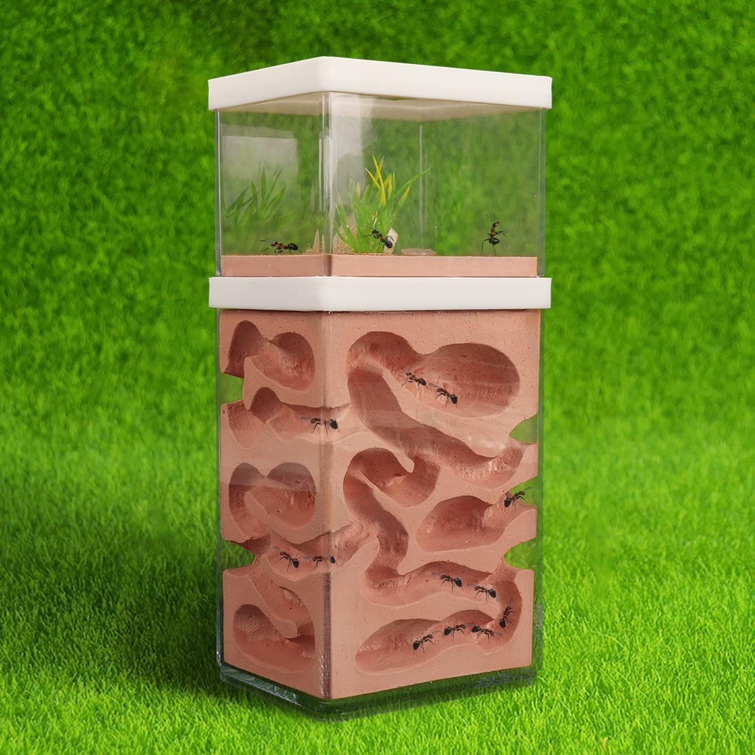 aleawol Natural Ant Farm Ant Nest Formicarium Made of Plaster Transparent Ant House Ant Breeding Box Ants Terrarium Ant House Ant Farm Ant Nest Habitat