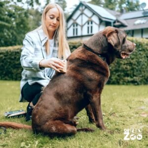 Warum Will Man Ein Haustier?