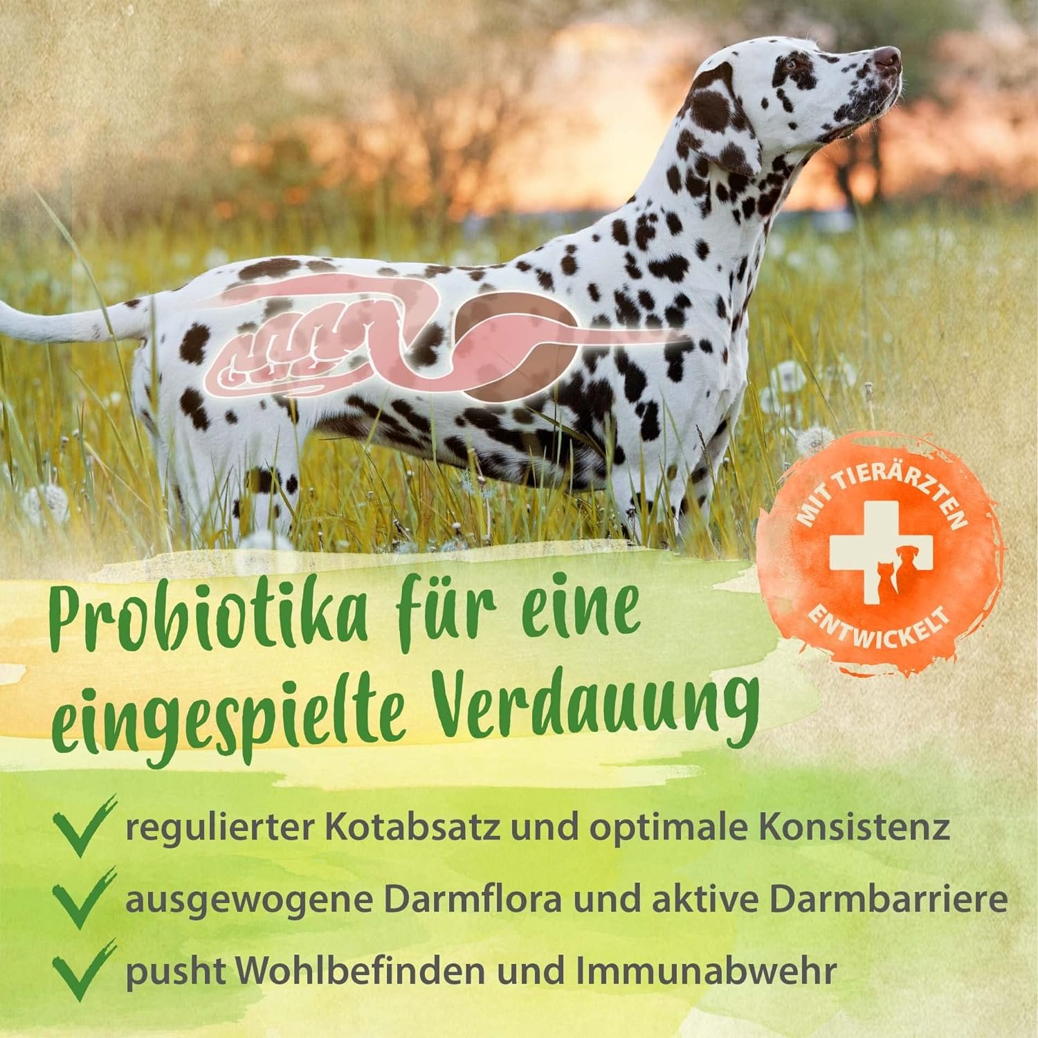 Ida Plus Glückspilz - Probiotics for Dogs  Prebiotics Especially Delicious Supplementary Food for Healthy Intestinal Flora  Digestion - Supports Intestinal Restoration - with Healthy Gut Bacteria -