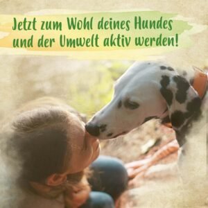 Gehorsamstraining für mein Hund