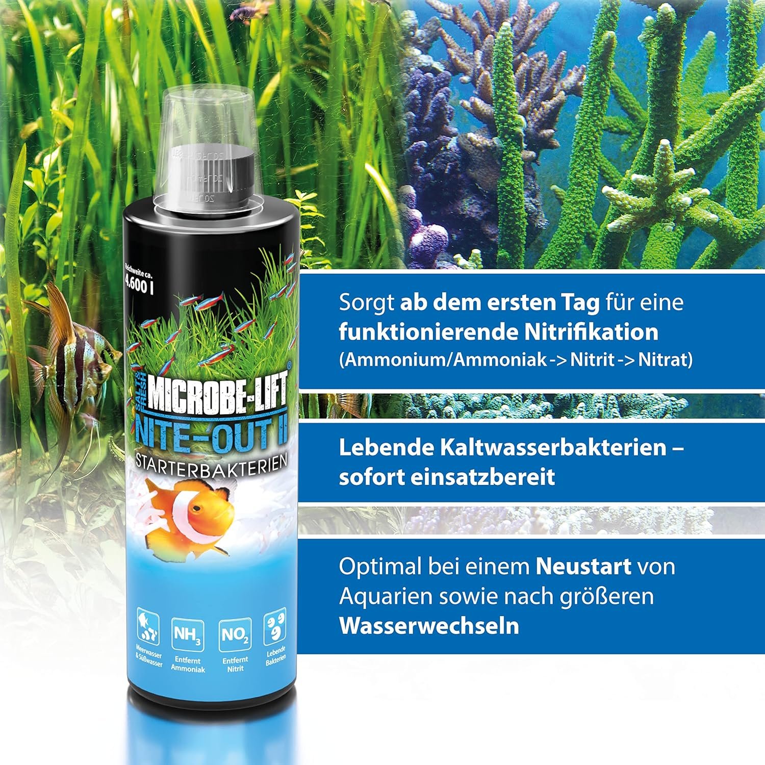 Microbe-Lift Nite-Out II - Bacteria Starter for Freshwater  Saltwater Aquarium, for Fast Fish