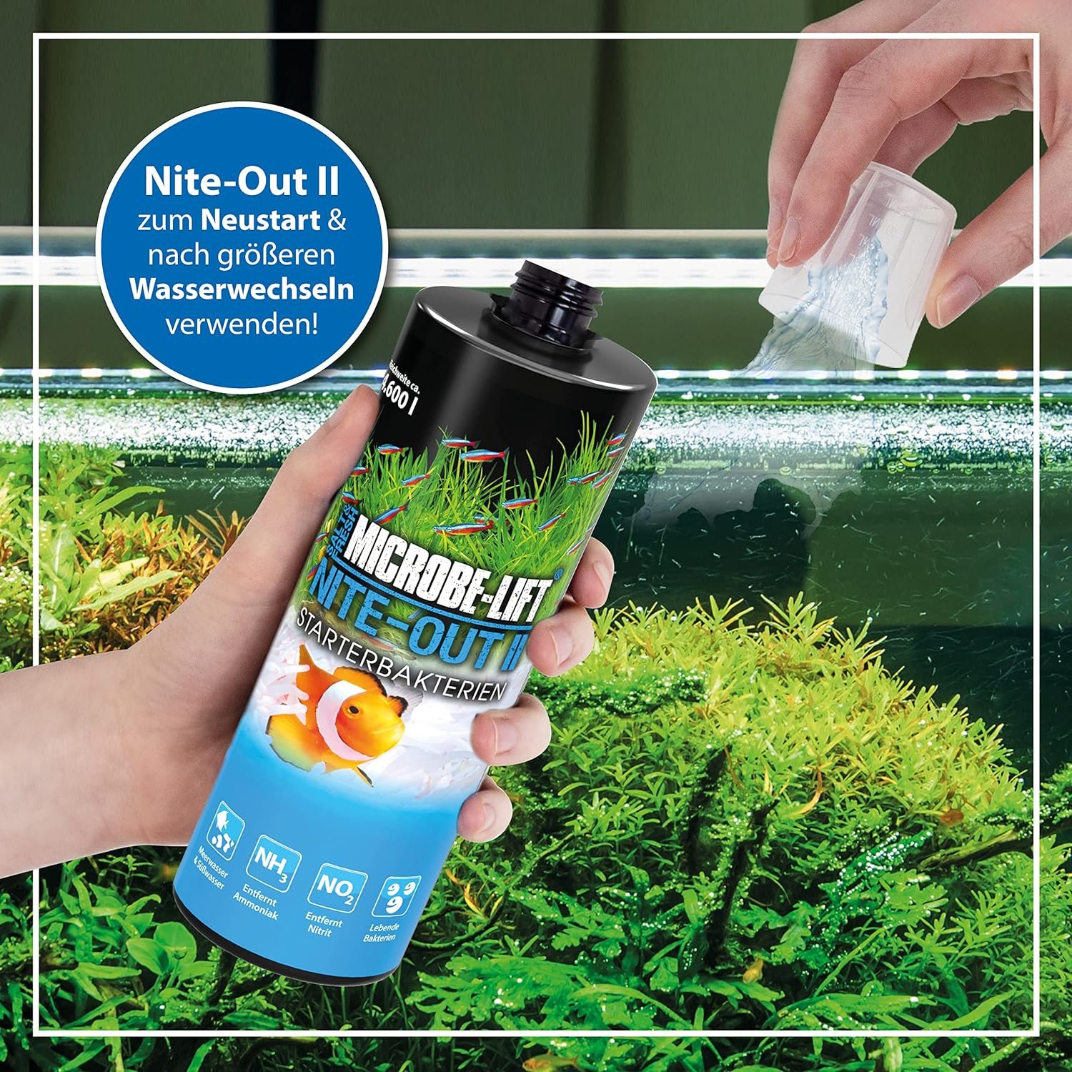 Microbe-Lift Nite-Out II - Bacteria Starter for Freshwater  Saltwater Aquarium, for Fast Fish