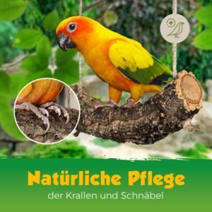 Welche Tiere Eignen Sich Für Kinder?