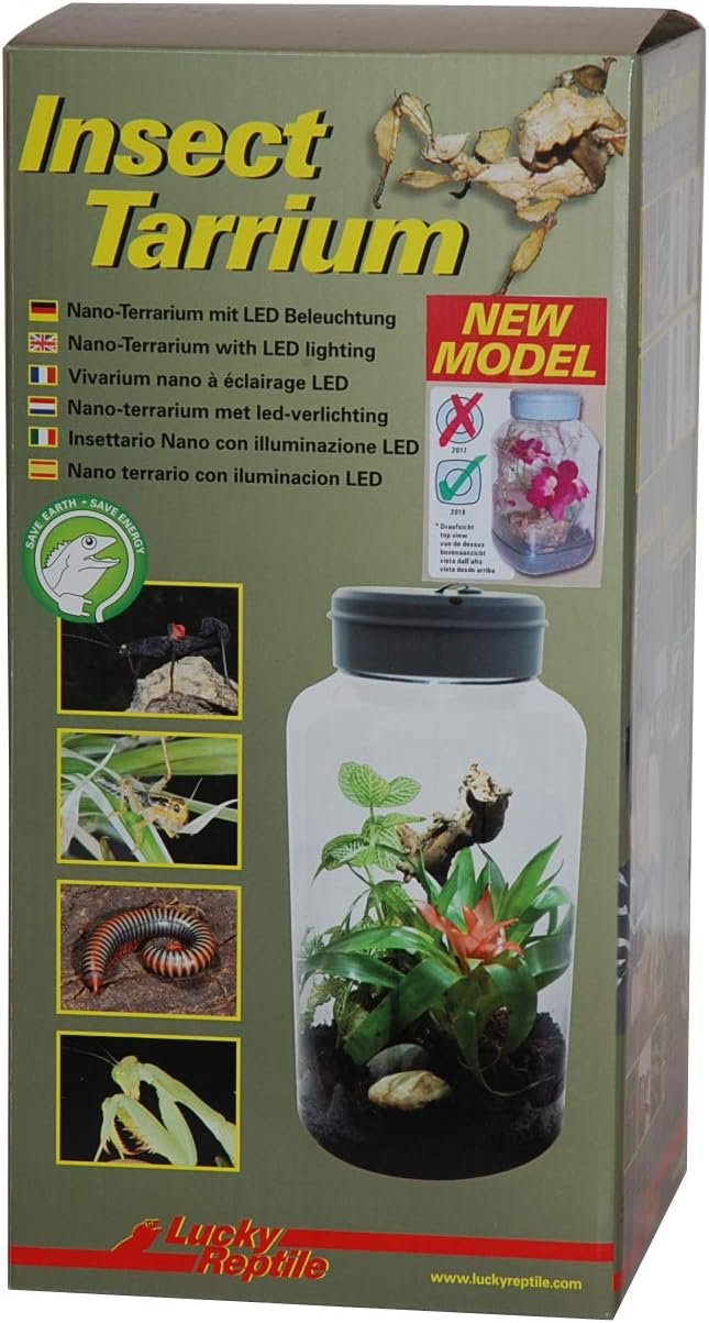 Lucky Reptile IT-5 InsectTarrium 5 l, Pet Kleinterrarium für den ersten Einstieg in die Terraristik