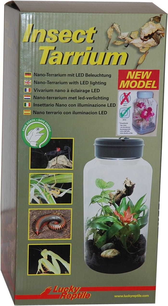 Lucky Reptile IT-5 InsectTarrium 5 l, Pet Kleinterrarium für den ersten Einstieg in die Terraristik