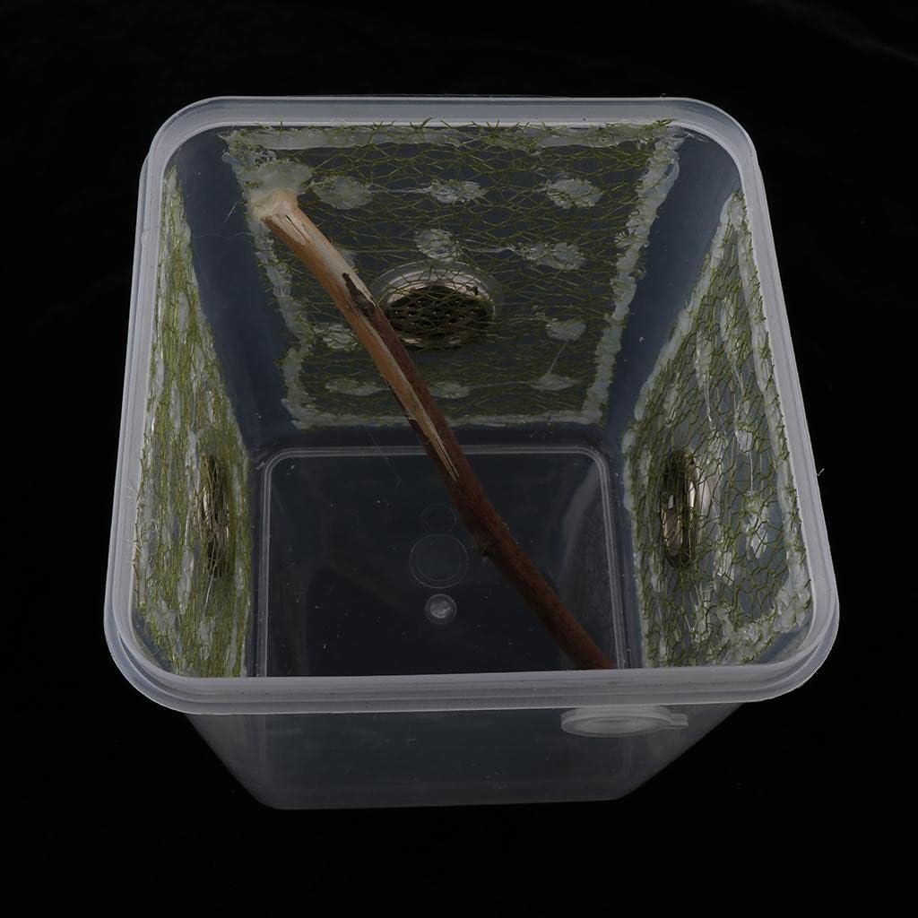 AWHAO Transparent rearing box for reptiles and insects, practical container for breeding, type 4