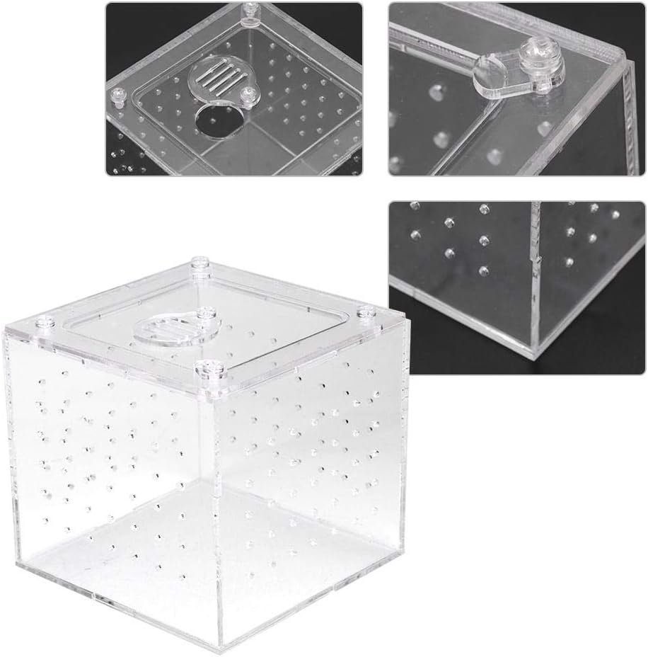 Pssopp Reptile Feeding Container Reptile Terrarium Feeder Snakes Spider Lizard Breeding Acrylic Box Case Insect House for Lizard Chameleon Spider Frog Cricket Turtle Crab