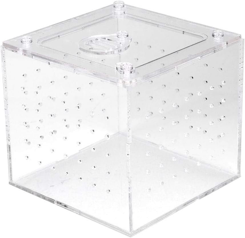 Pssopp Reptile Feeding Container Reptile Terrarium Feeder Snakes Spider Lizard Breeding Acrylic Box Case Insect House for Lizard Chameleon Spider Frog Cricket Turtle Crab