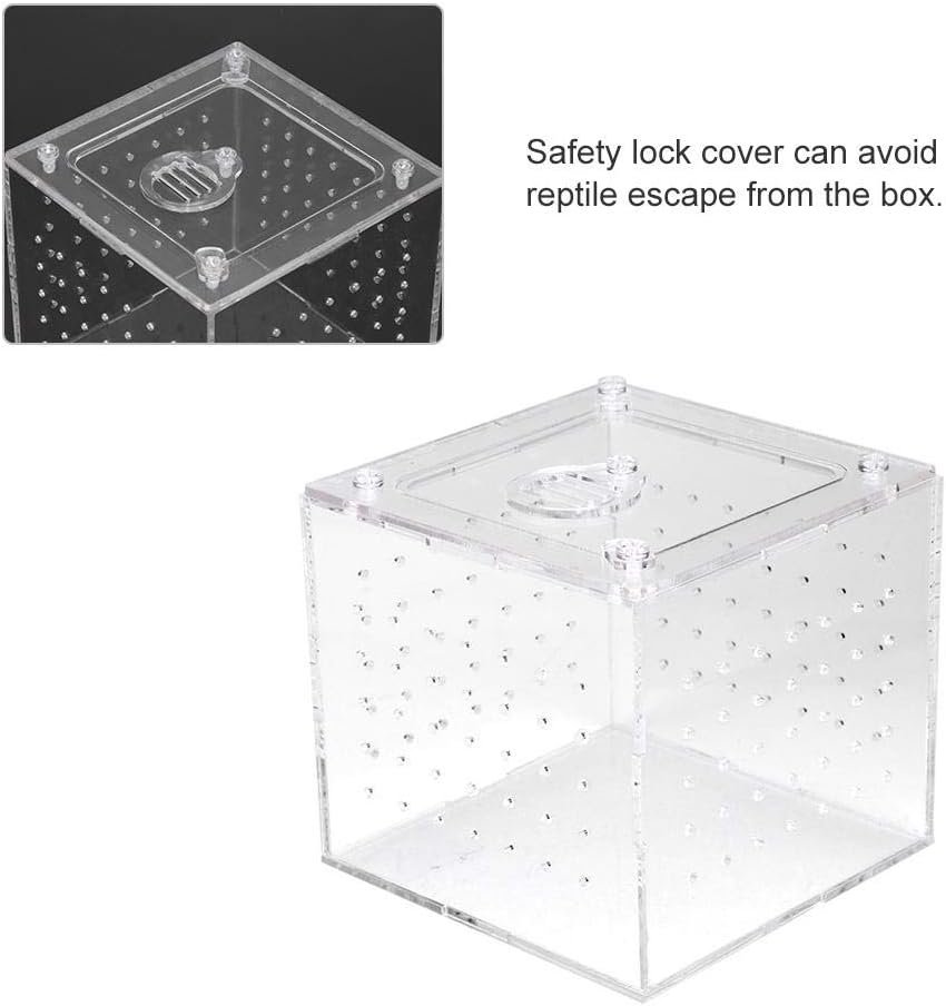 Pssopp Reptile Feeding Container Reptile Terrarium Feeder Snakes Spider Lizard Breeding Acrylic Box Case Insect House for Lizard Chameleon Spider Frog Cricket Turtle Crab