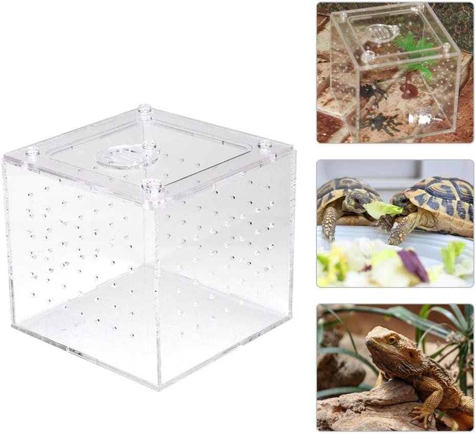 Pssopp Reptile Feeding Container Reptile Terrarium Feeder Snakes Spider Lizard Breeding Acrylic Box Case Insect House for Lizard Chameleon Spider Frog Cricket Turtle Crab