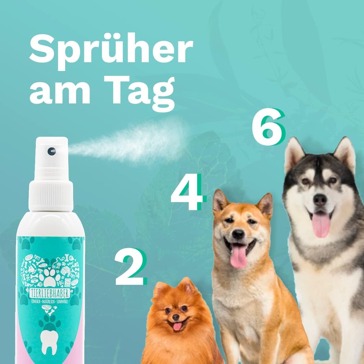 Zahnspray für Hunde und Katzen