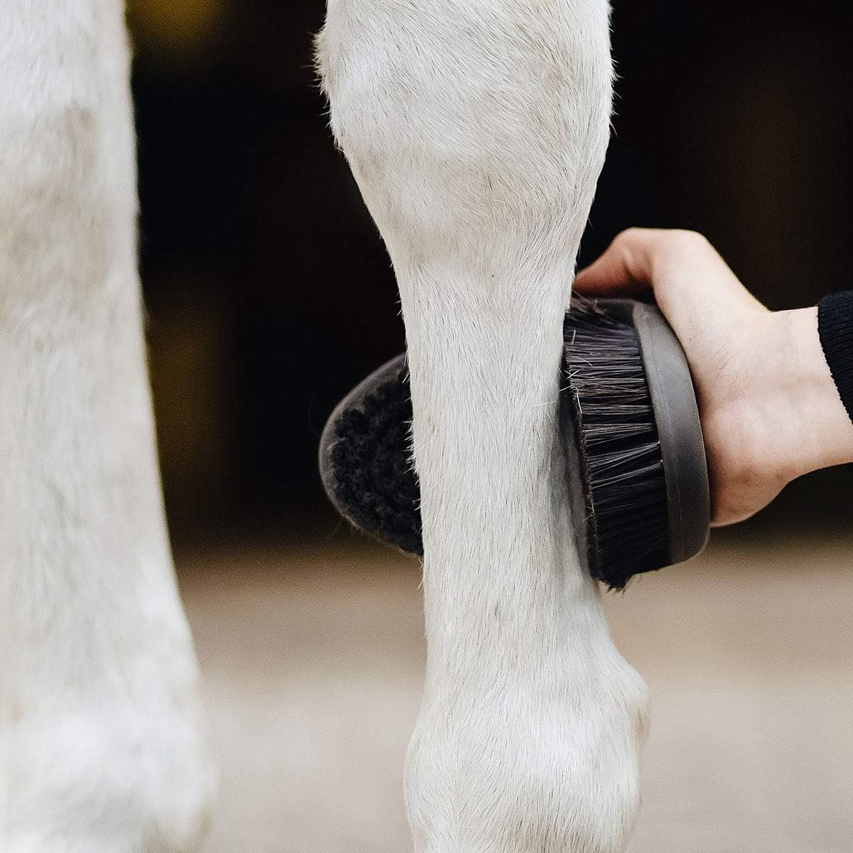 Animalon CareFlex Kardätsche | Flexible  Ergonomische Pferde-Bürste mit Klettverschluss für Jede Pferde Putzbox | Pferde Zubehör | Putzzeug für Pferde