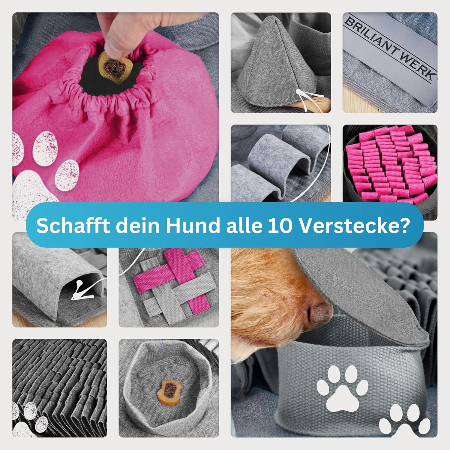 Schnüffeln Teppich für Hunde