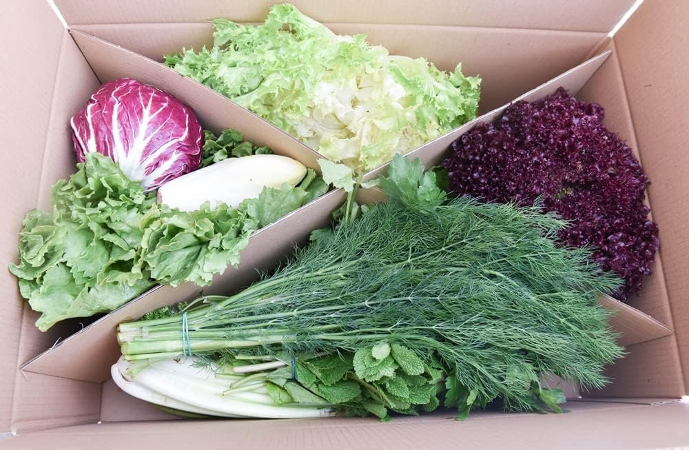 Frische Box Salat & Kräuter 3 kg für Kaninchen 