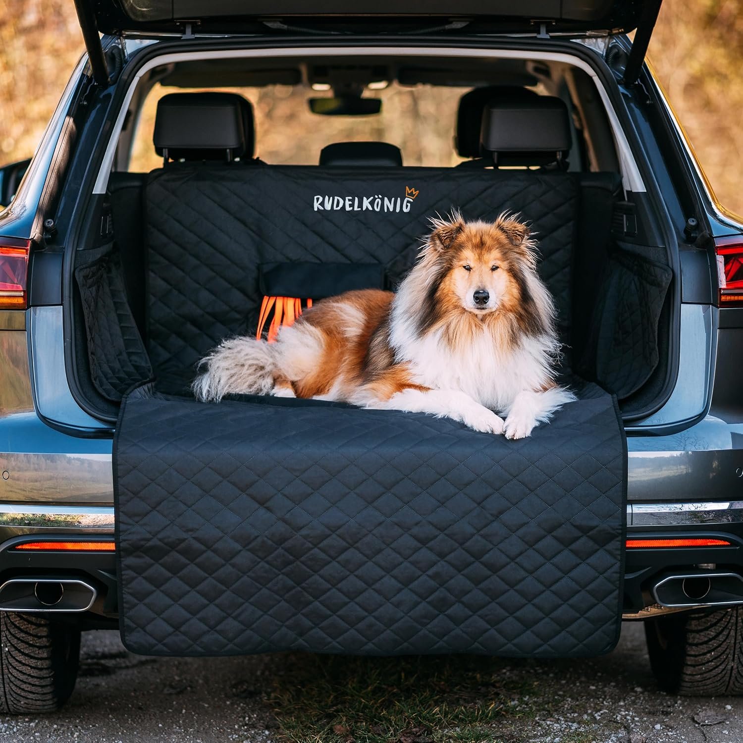 Autoteppichschutz für Hund