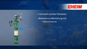 Effektive Filter für saubere Aquarien