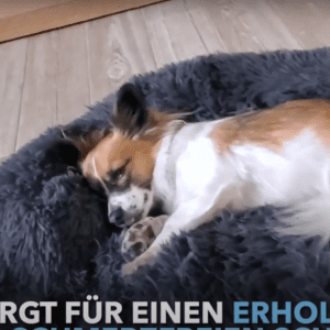 hundebett bezug waschbar