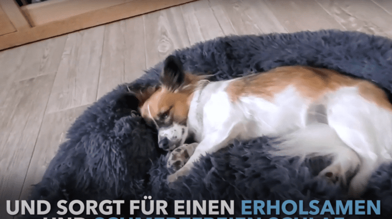 hundebett bezug waschbar